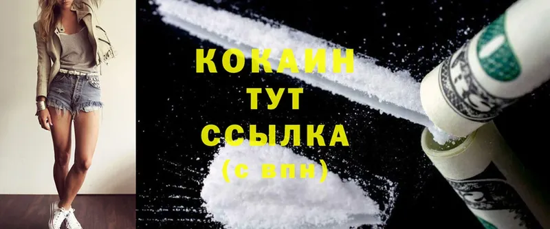 где купить   Грязи  дарк нет формула  Cocaine Fish Scale 